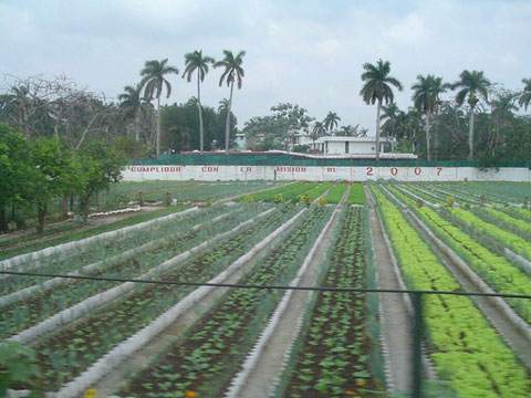 Cuba
