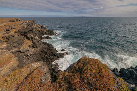 Galapagos Islands