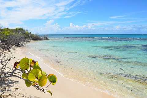 Guadeloupe