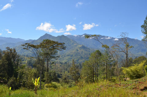 Papua New Guinea