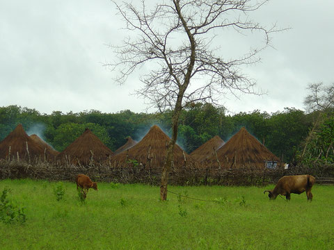 Guinea-Bissau