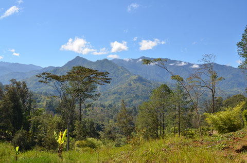 Papua New Guinea